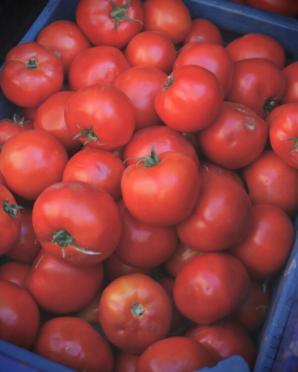 Farm-Fresh Tomatoes (1 kg)