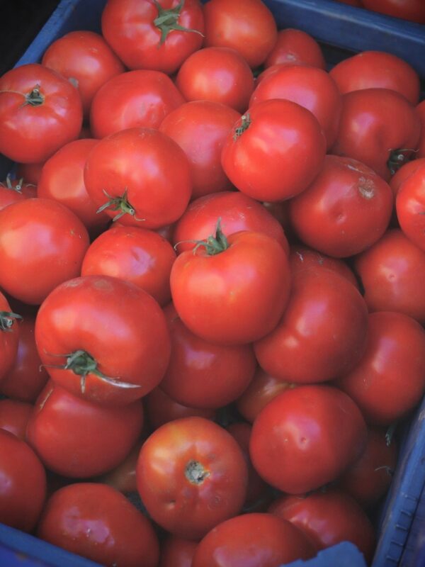 Farm-Fresh Tomatoes (1 kg)